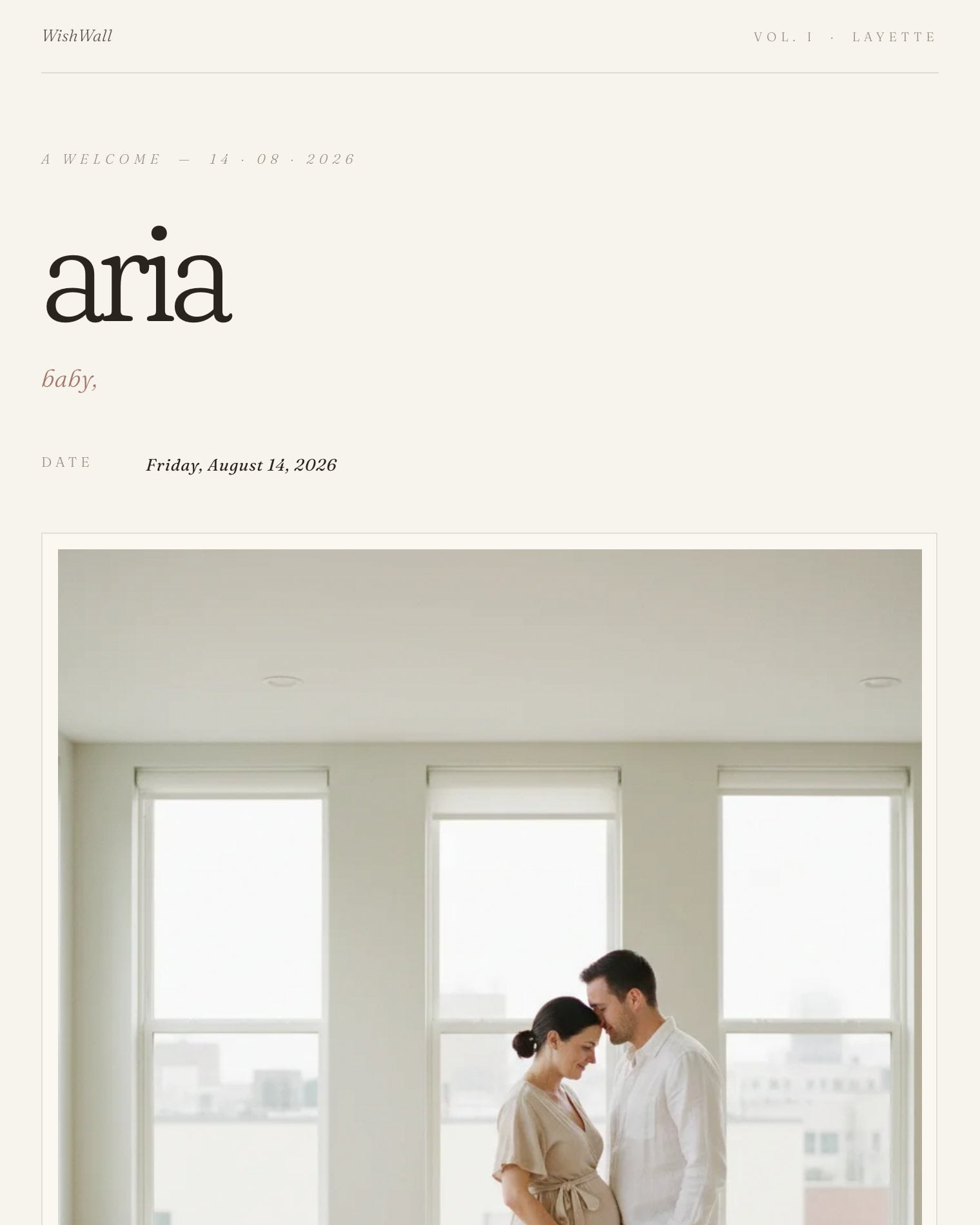 Modern Layette theme preview